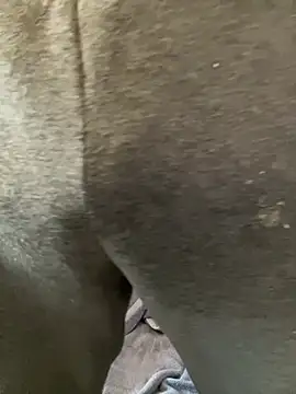 Enos3 online show from 16, 4, 2026