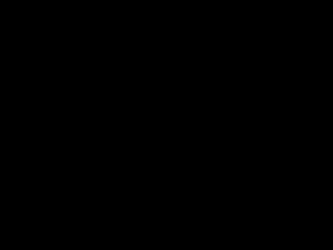 busetarsus  online show from 21, 3, 2026