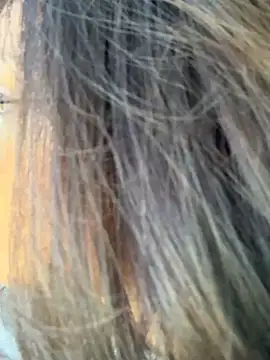 miacanela xo online show from 11, 10, 2025