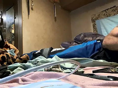 WilldoPita online show from 5, 12, 2024