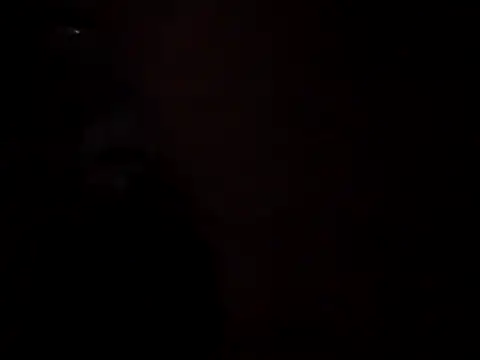 WilldoPita online show from 5, 11, 2025