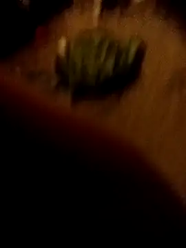 ySqmbVanbe online show from 16, 2, 2026