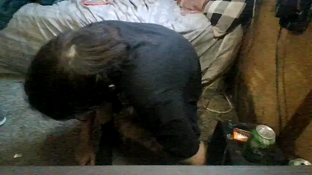 ySqmbVanbe online show from 19, 4, 2026