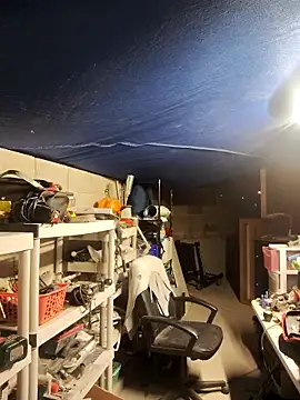 FloppyPickle4u online show from 25, 2, 2025