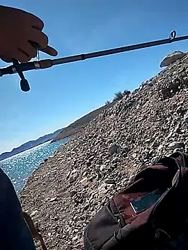 FloppyPickle4u online show from 4, 3, 2025