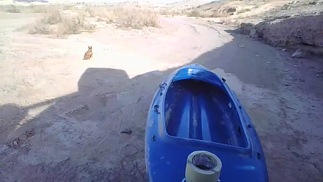 FloppyPickle4u online show from 20, 12, 2025