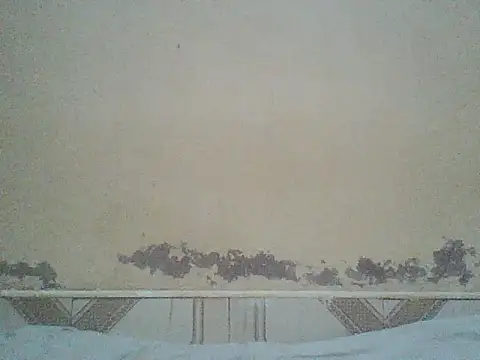 Snapshot of Naivegirrl chatting on 3, 7, 2026 Naivegirrl online show from 3, 7, 2026