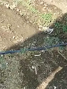 DADDY69SS online show from 8, 2, 2026