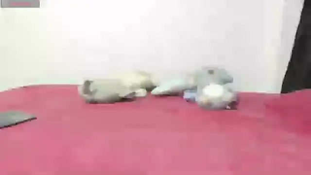 Snapshot of Mayte_sexy chatting on 21, 2, 2025 Mayte sexy online show from 21, 2, 2025