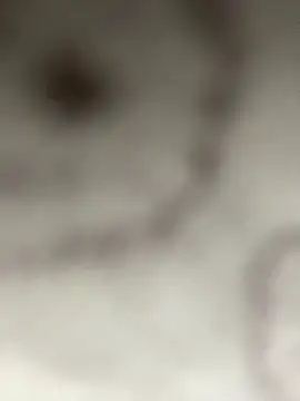 Snapshot of Leyna_liu chatting on 11, 1, 2025 Leyna liu online show from 11, 1, 2025