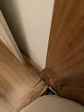 Leyna liu online show from 10, 4, 2026