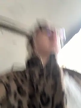 casalinga88 online show from 21, 10, 2025