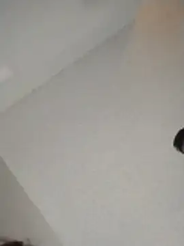 Snapshot of xWhoreAbleX_Pika chatting on 30, 11, 2025 xWhoreAbleX Pika online show from 30, 11, 2025