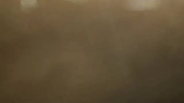 Alphapimmelchen online show from 21, 2, 2025