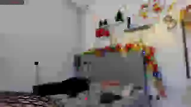 Snapshot of alissonandamy chatting on 21, 12, 2024 alissonandamy online show from 21, 12, 2024