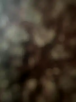 Snapshot of FrutenFratenR9 chatting on 11, 11, 2025 FrutenFratenR9 online show from 11, 11, 2025