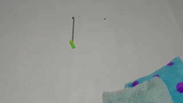 Snapshot of sebas_rose chatting on 11, 12, 2024 sebas rose online show from 11, 12, 2024