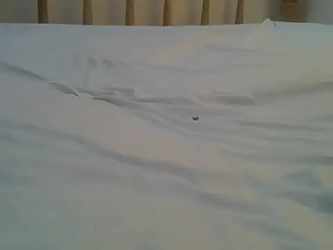 Mercydiva online show from 9, 2, 2026