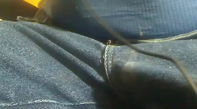 markluvskitty online show from 10, 2, 2025