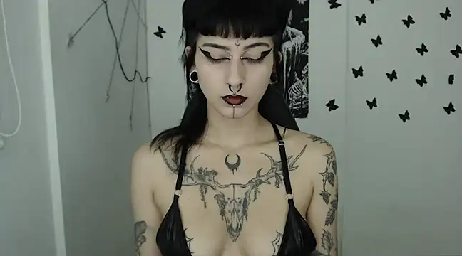 n0sferatus   online show from 14, 2, 2025