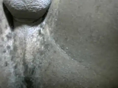 Whitelover online show from 24, 2, 2025