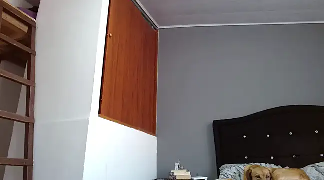 Emilia 1995 online show from 28, 2, 2025