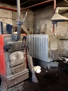 MityaXLoves online show from 8, 3, 2026