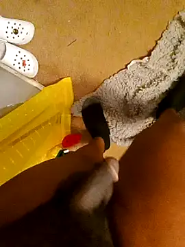 freakniknutty online show from 3, 10, 2025