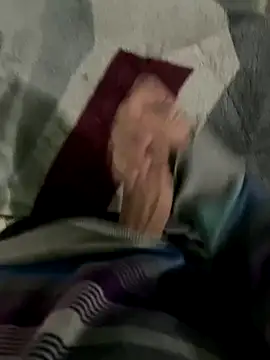 noovin20cm online show from 20, 10, 2025