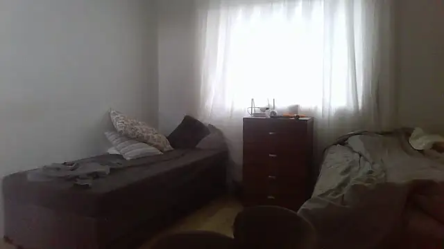 prorafadodoce online show from 14, 12, 2025