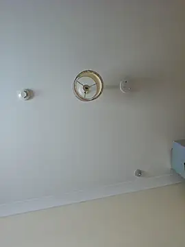 meateater1 online show from 18, 11, 2025