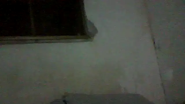 PAUBRASILEIRORJ online show from 17, 7, 2026