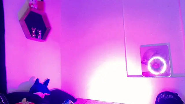 Gorrion   online show from 11, 3, 2026