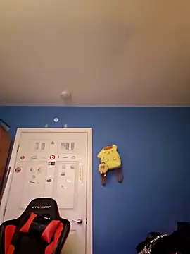 snortrax online show from 13, 12, 2024