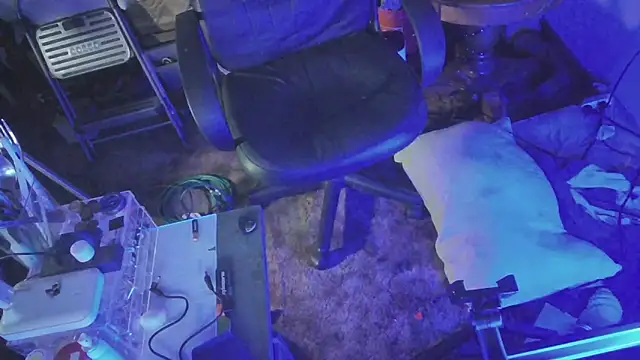 jaxx12369 online show from 24, 2, 2025