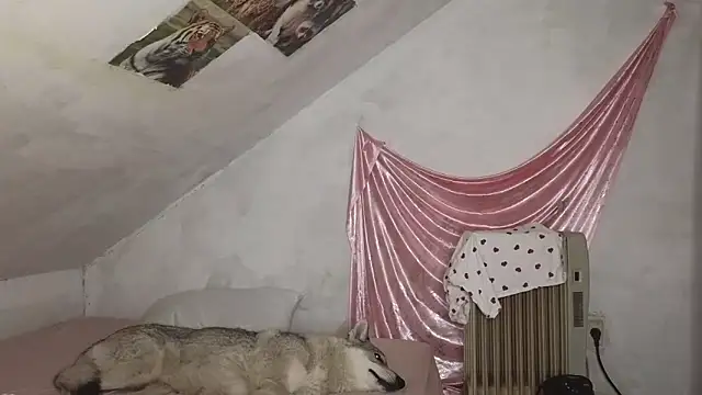 Snapshot of MAMA69LAMA chatting on 9, 3, 2026 MAMA69LAMA online show from 9, 3, 2026