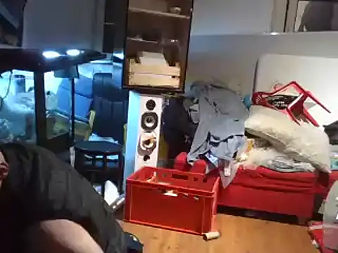 0815lukas2024 online show from 21, 12, 2024