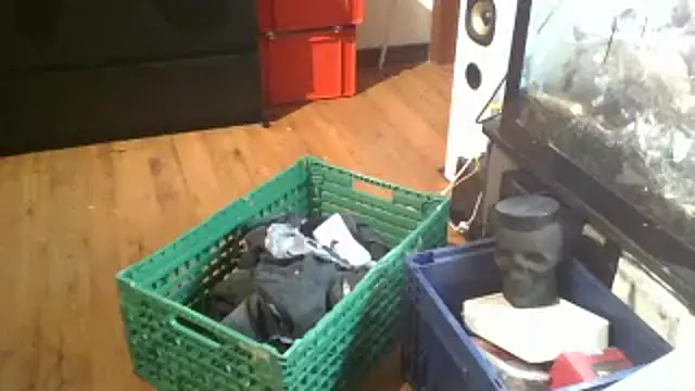 0815lukas2024 online show from 16, 1, 2025