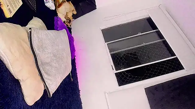 Bigcatalove online show from 5, 3, 2025