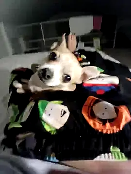 litleboy92 online show from 15, 11, 2025