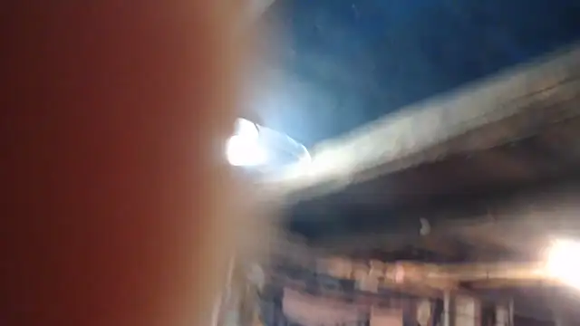 Newfiesausage1972 online show from 21, 2, 2026