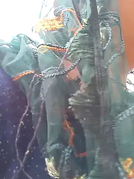 Simaran bhabhi online show from 16, 3, 2025