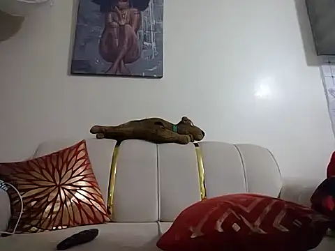 hoely grail01 online show from 7, 4, 2026