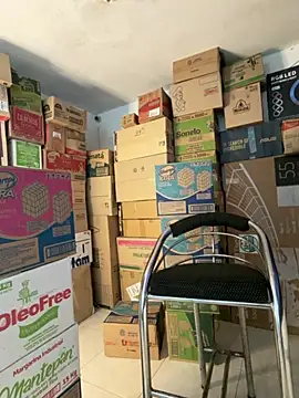 melody-dy online show from 31, 3, 2026