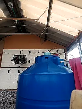 rebekka simpson online show from 16, 10, 2025