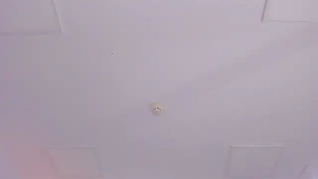 JassyeJoy online show from 7, 1, 2026