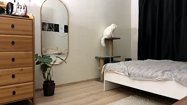 vse horosho online show from 13, 11, 2025