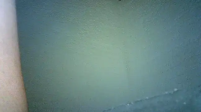 Bellabeltrann online show from 25, 1, 2025