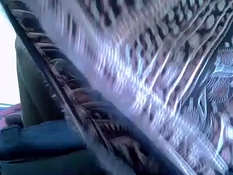 pointy bloom online show from 22, 11, 2025