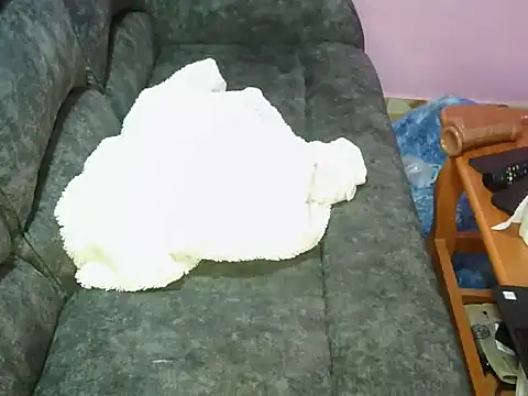 petitev online show from 4, 11, 2025